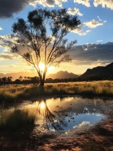 Pollo al estilo Alice Springs